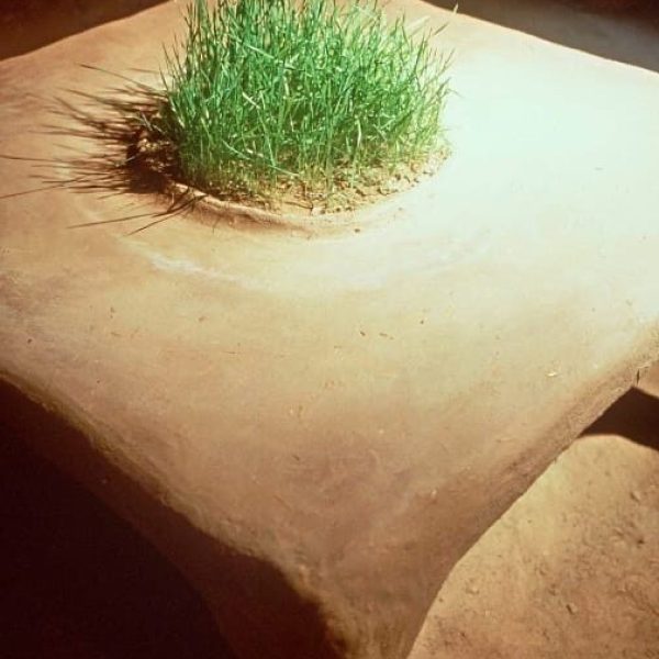 100%TERRA.FacchiNaricigeologika - dimensioni grandi