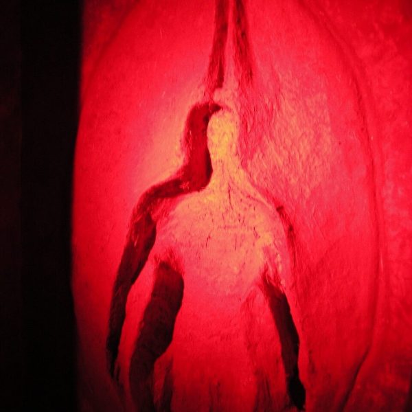 Adamadam Bologna '09 (50) - dimensioni grandi