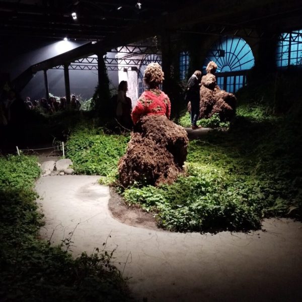 IMG-20230108-WA0018(1) - dimensioni grandi